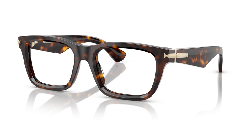Burberry BE2419 in Dark Havana / Demo Lens (3002) - Alternate View