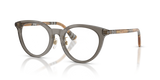 Grey / Demo Lens (4177)