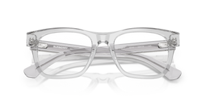 Grey / Demo Lens (4210)