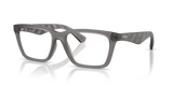 Matte Grey / Demo Lens (4213)