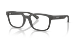 Matte Grey / Demo Lens (4233)
