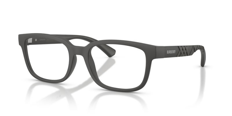 Burberry BE2451U in Matte Grey / Demo Lens (4233) - Alternate View