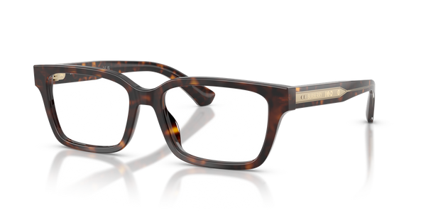 Burberry BE2453F