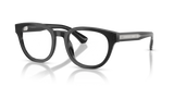 Grey / Demo Lens (4211)