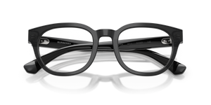 Grey / Demo Lens (4211)