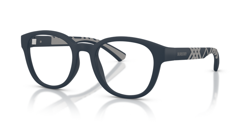 Burberry BE2465U in Matte Blue - Alternate View