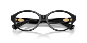 Black / Demo Lens (3001)