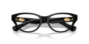 Black / Demo Lens (3001)