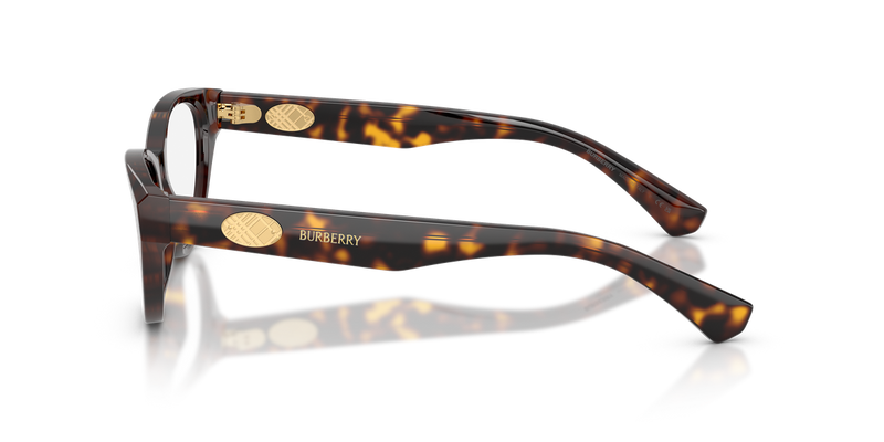 Burberry BE2467F in Dark Havana - Alternate View