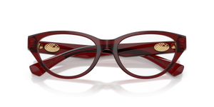 Bordeaux / Demo Lens (4192)