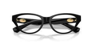 Black / Demo Lens (3001)
