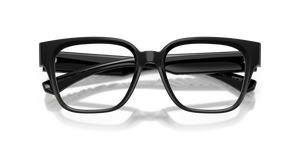 Black / Demo Lens (3001)