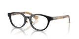 Black / Demo Lens (4161)