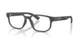Matte Grey / Demo Lens (4233)