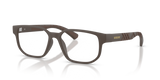 Matte Brown / Demo Lens (4234)