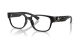 Black / Demo Lens (3001)