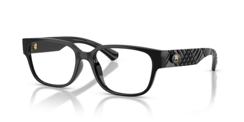 Black / Demo Lens (3001)