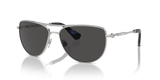 Silver / Dark Grey (100587)