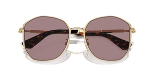 Light Gold / Light Purple Brown (11097N)