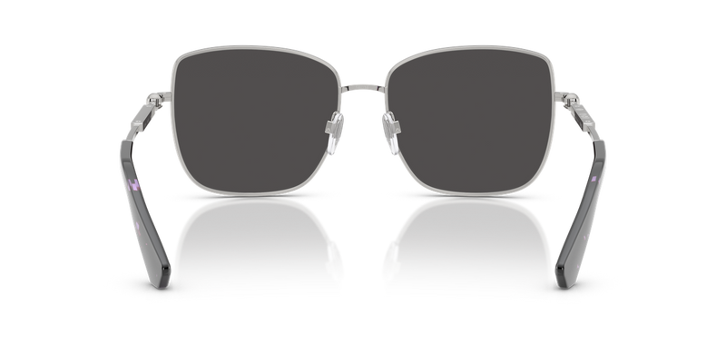 Burberry BE3158 in Silver / Dark Grey (100587) - Temple Detail