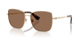 Light Gold / Dark Brown (110973)