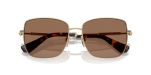 Light Gold / Dark Brown (110973)