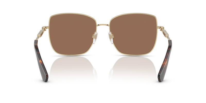 Burberry BE3158 in Light Gold / Dark Brown (110973) - Alternate View