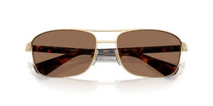 Light Gold / Dark Brown (110973)