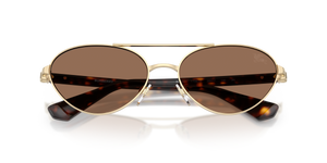 Light Gold / Dark Brown (110973)