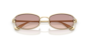 Light Gold / Brown Gradient (110913)