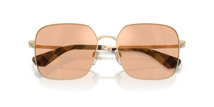 Light Gold / Marrone Transition (1109TO)