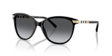 Black / Polarized Grey Gradient (3001T3)