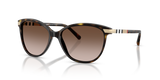 Dark Havana / Brown Gradient (300213)