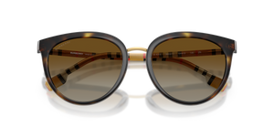 Dark Havana / Polarized Brown Gradient (3854T5)