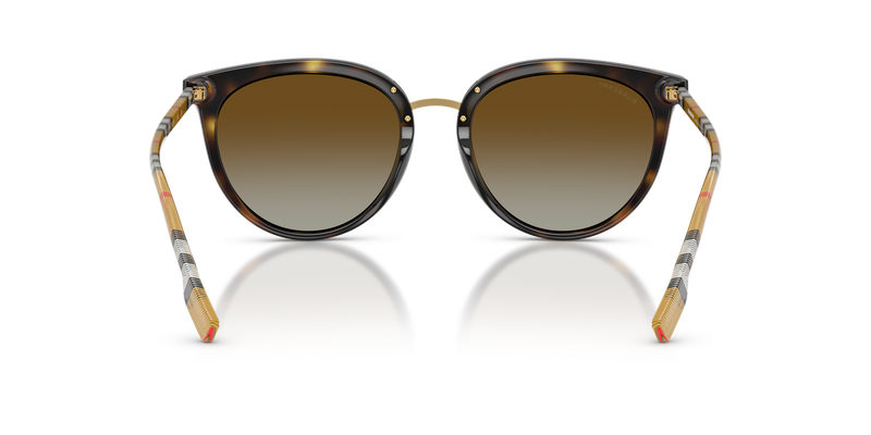 Burberry WILLOW in Dark Havana - Alternate View