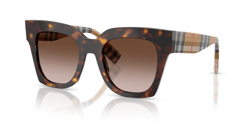 Dark Havana / Brown Gradient (425113)