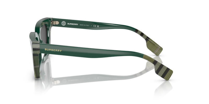 Burberry BRIAR in Green/Check Green - Alternate View