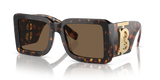 Dark Havana / Dark Brown (300273)