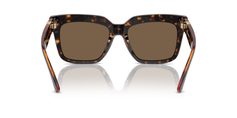 Burberry BE4419 in Dark Havana / Dark Brown (300273) - Alternate View