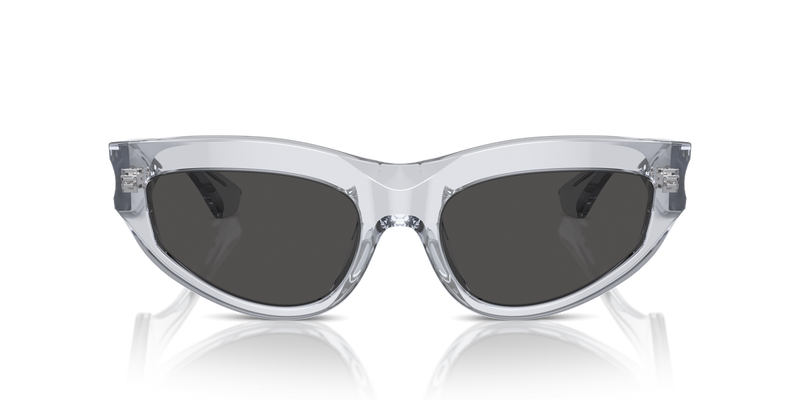 Burberry BE4425U in Grey / Dark Grey (382587) - Alternate View