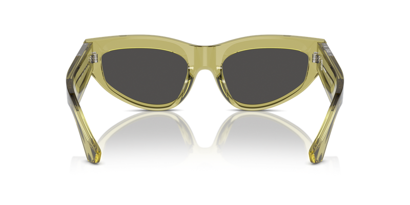Burberry BE4425U in Green / Dark Grey (411887) - Alternate View