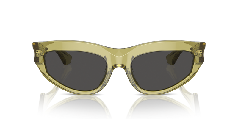Burberry BE4425U in Green / Dark Grey (411887) - Alternate View
