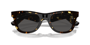 Dark Havana / Dark Grey (410687)