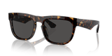 Dark Havana / Dark Grey (300287)