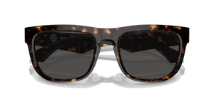 Dark Havana / Dark Grey (300287)