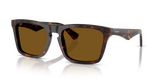 Dark Havana / Dark Brown Polarized (300283)