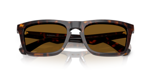 Dark Havana / Dark Brown Polarized (300283)