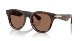 Dark Havana / Dark Brown (300273)
