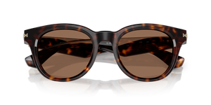 Dark Havana / Dark Brown (300273)
