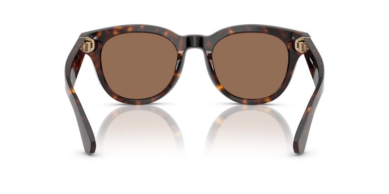 Burberry BE4439 in Dark Havana / Dark Brown (300273) - Alternate View